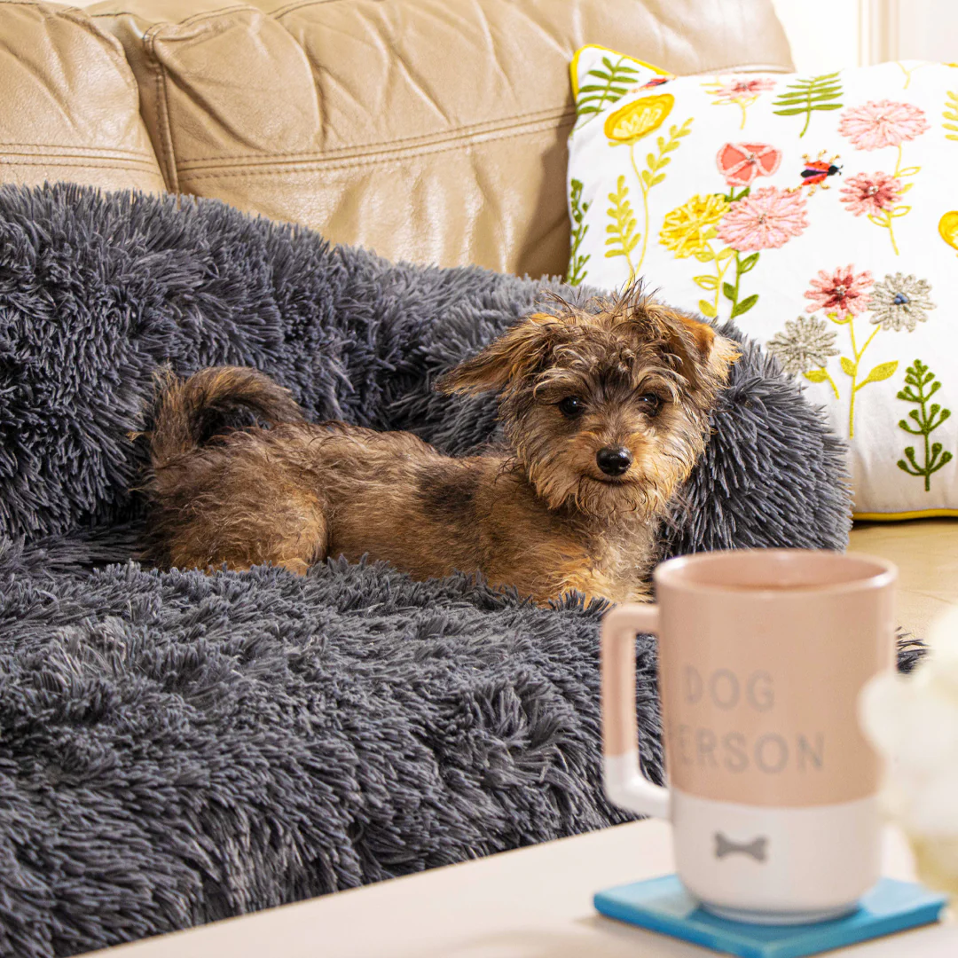 Pet Accessories