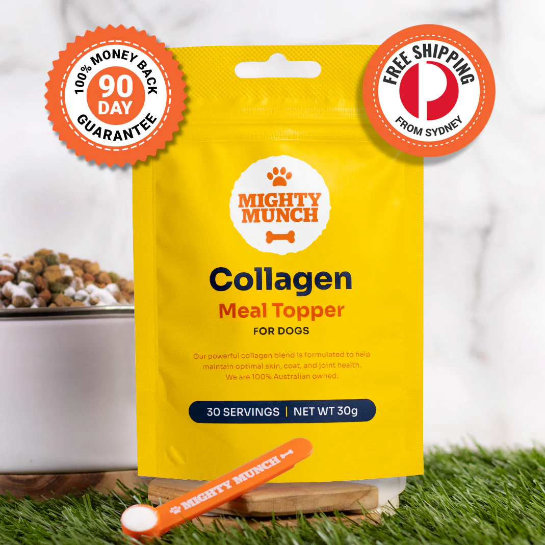 Collagen Meal Topper | Collagen for Dogs - Image 4