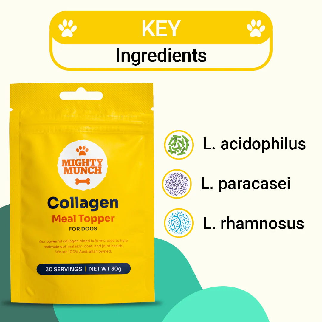 Collagen Meal Topper (Promo) - Image 2
