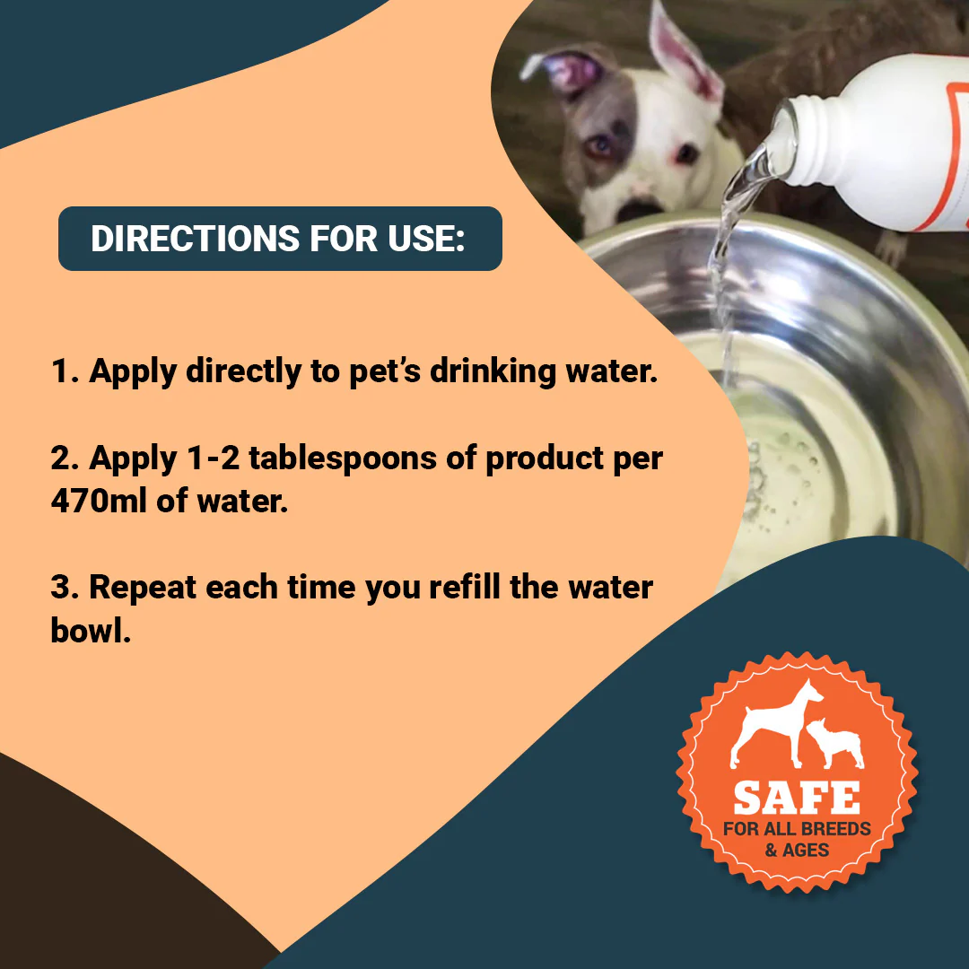 Dental Care Plus - Image 2