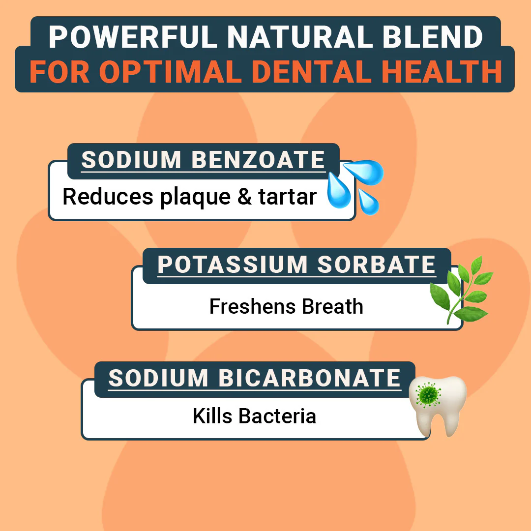 Dental Care Plus - Image 3