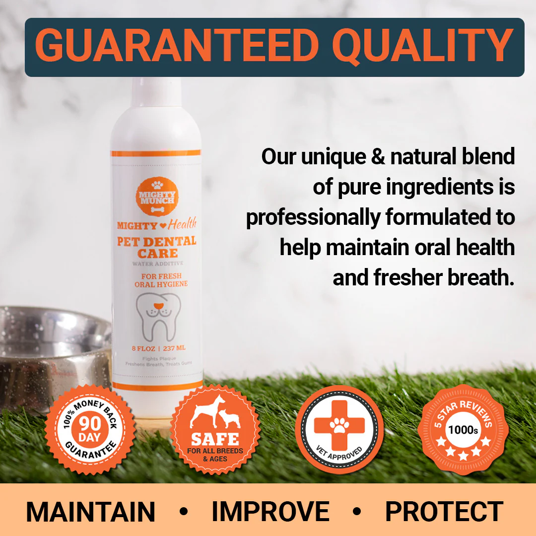 Dental Care Plus - Image 8