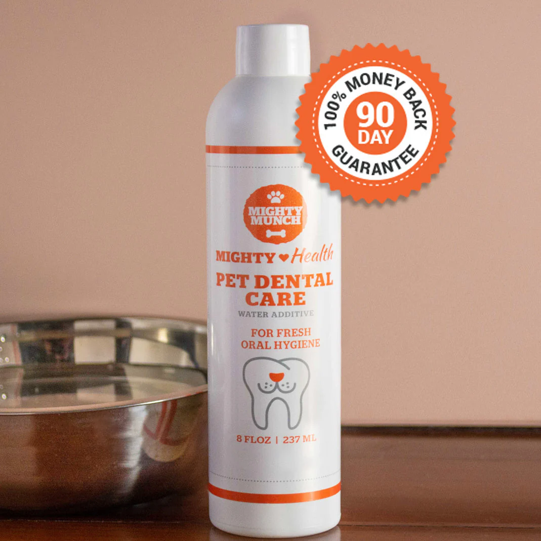 Dental Care (US)