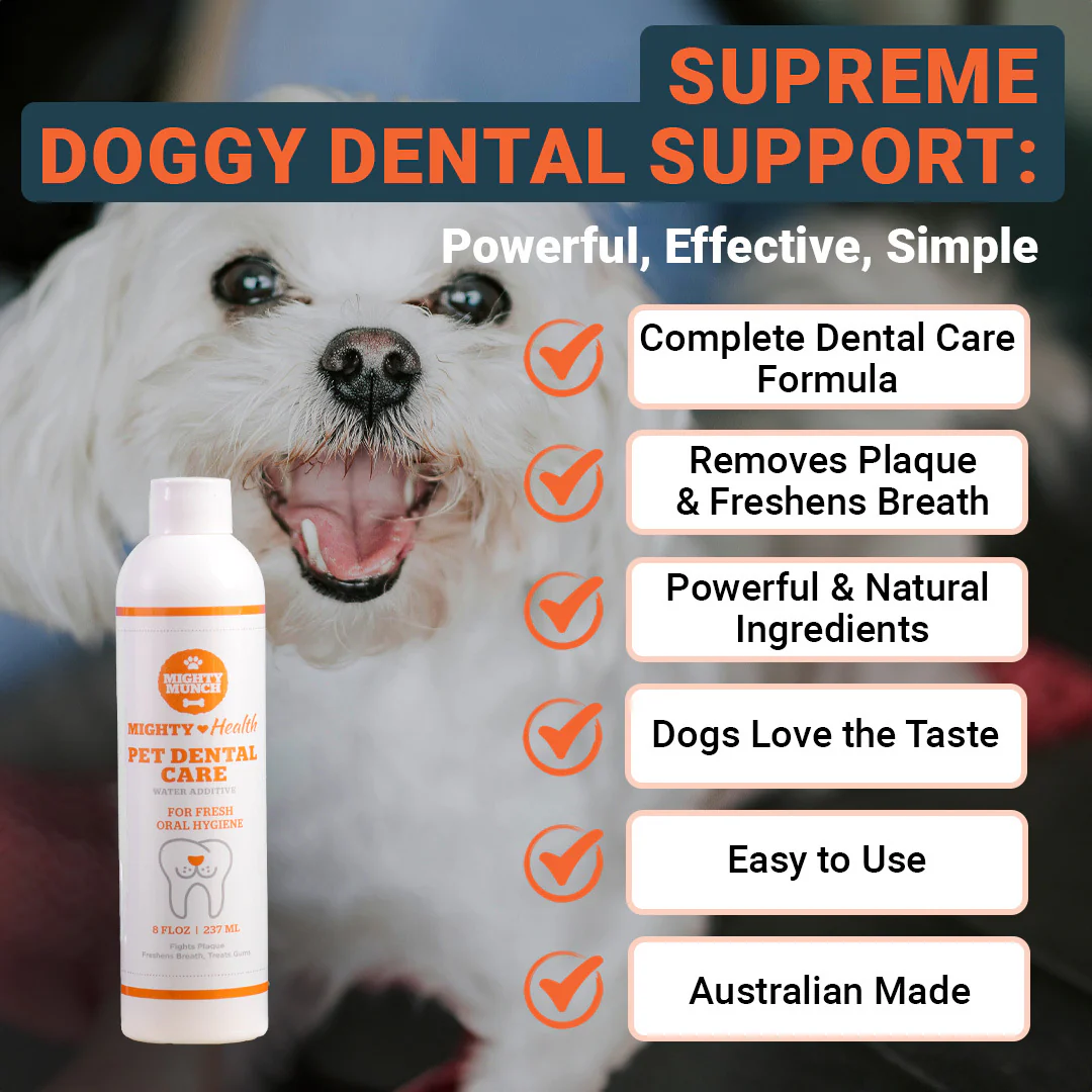 Dental Care (US) - Image 5