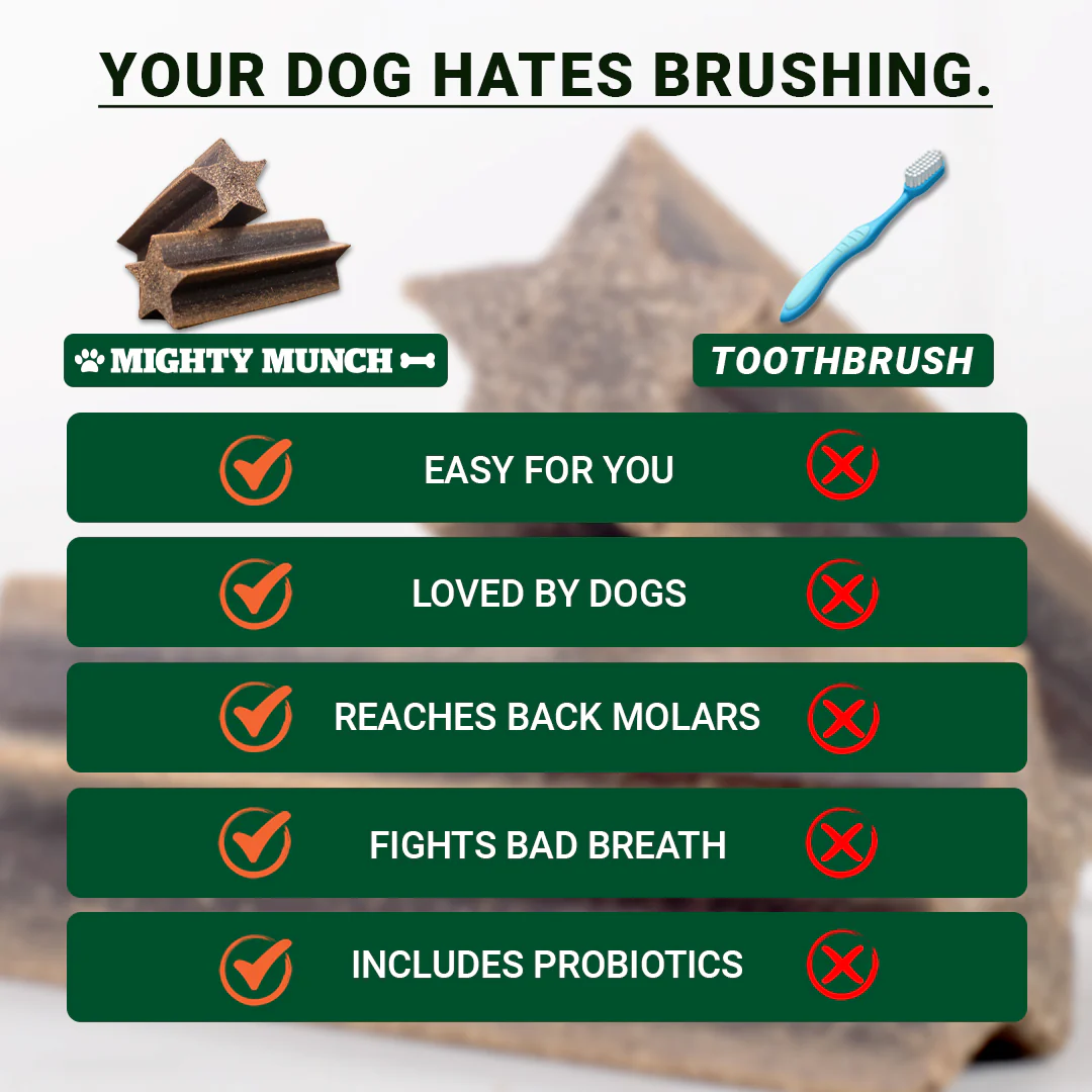 Dental Sticks (US) - Image 11