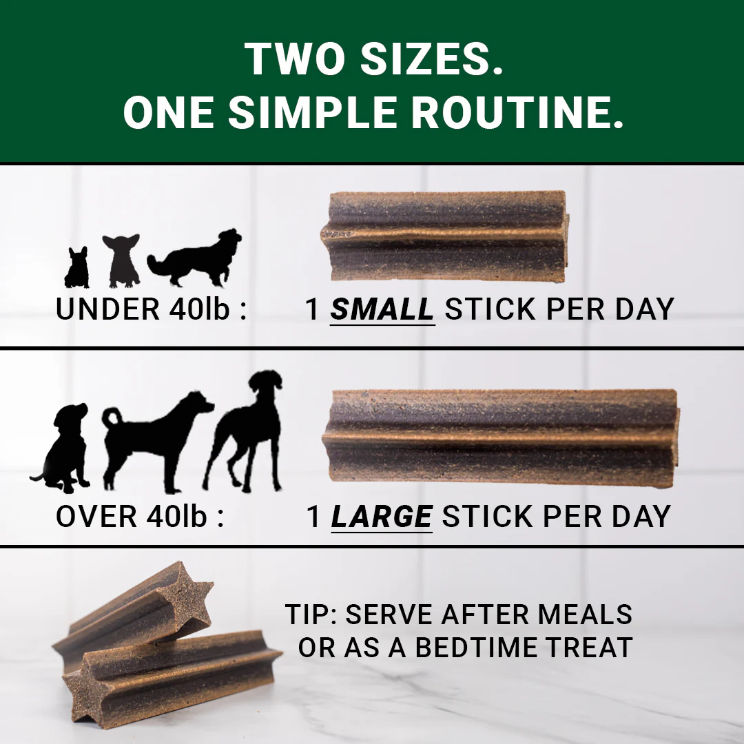 Dental Sticks (US) - Image 12