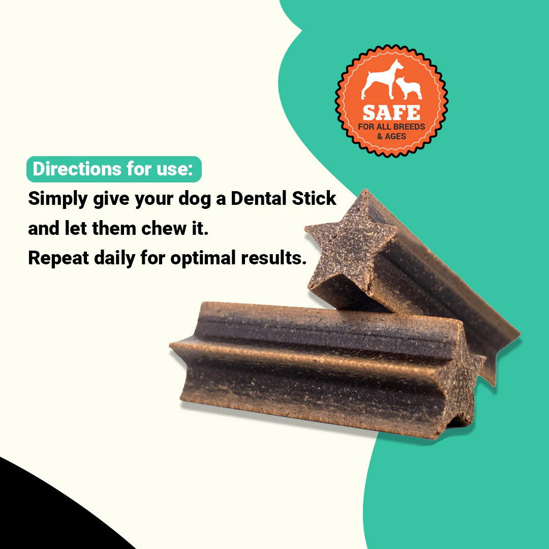 Dental Sticks (US) - Image 2
