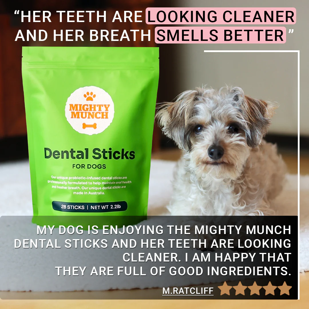 Dental Sticks (US) - Image 6