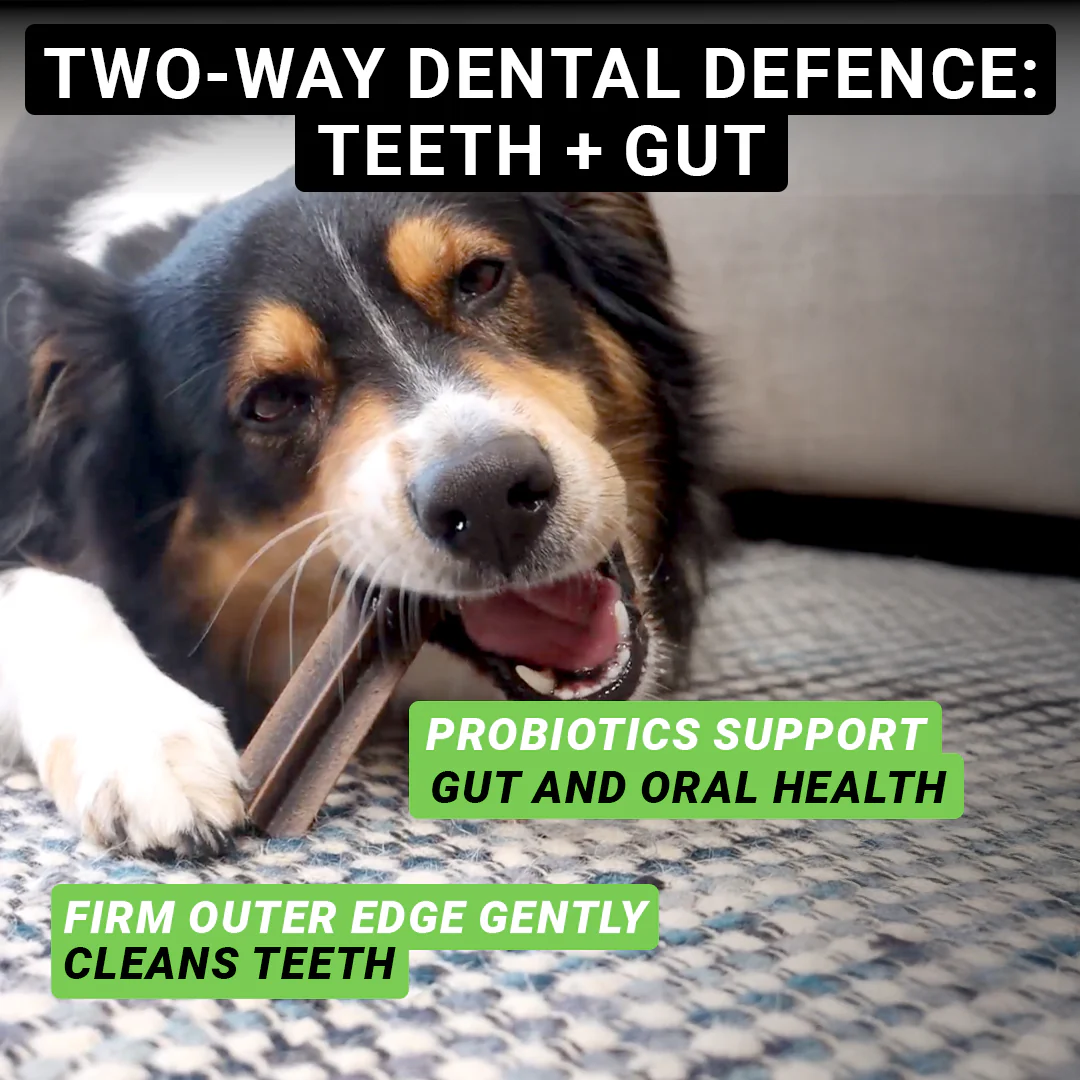 Dental Sticks (US) - Image 7