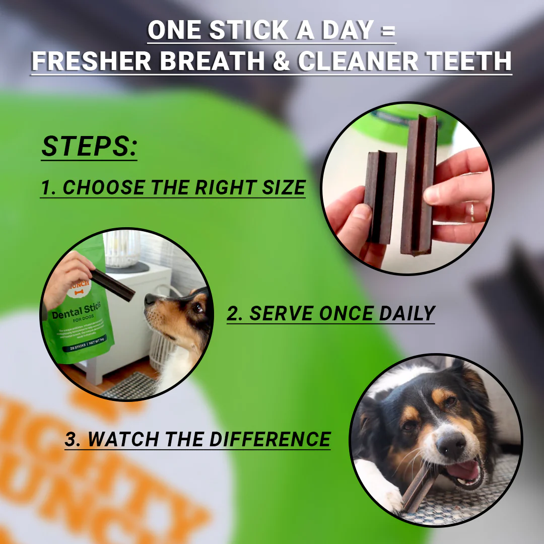 Dental Sticks (US) - Image 8