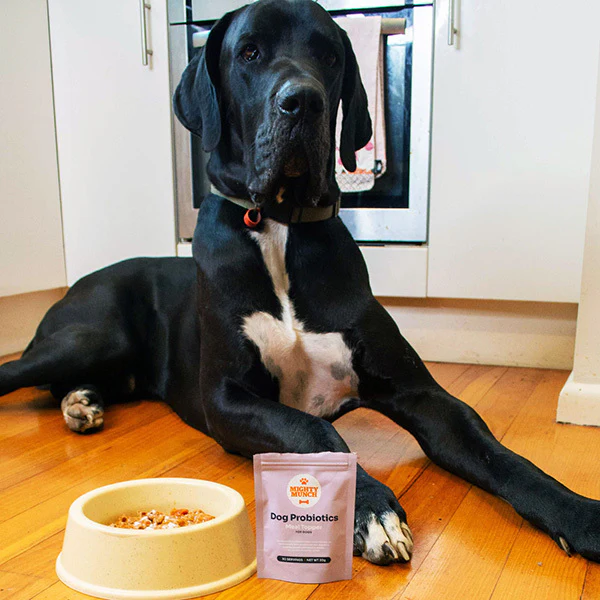 Dog Probiotics (Canada) - Image 10