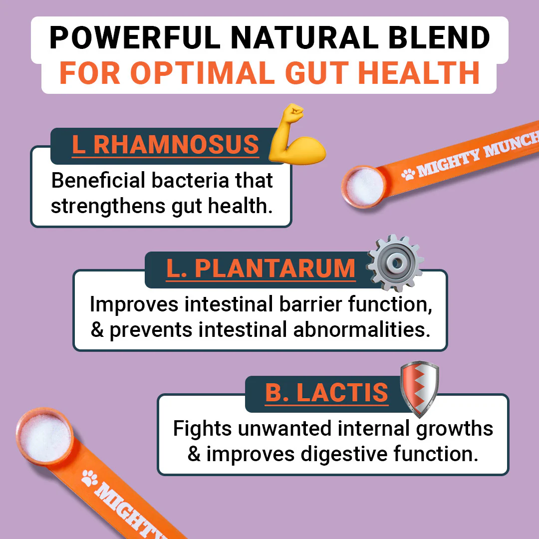 Dog Probiotics (Canada) - Image 3