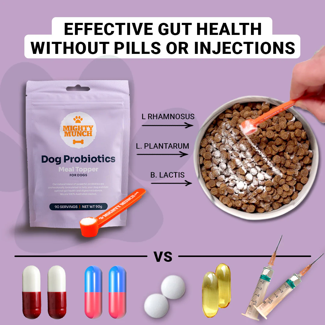 Dog Probiotics (Canada) - Image 7