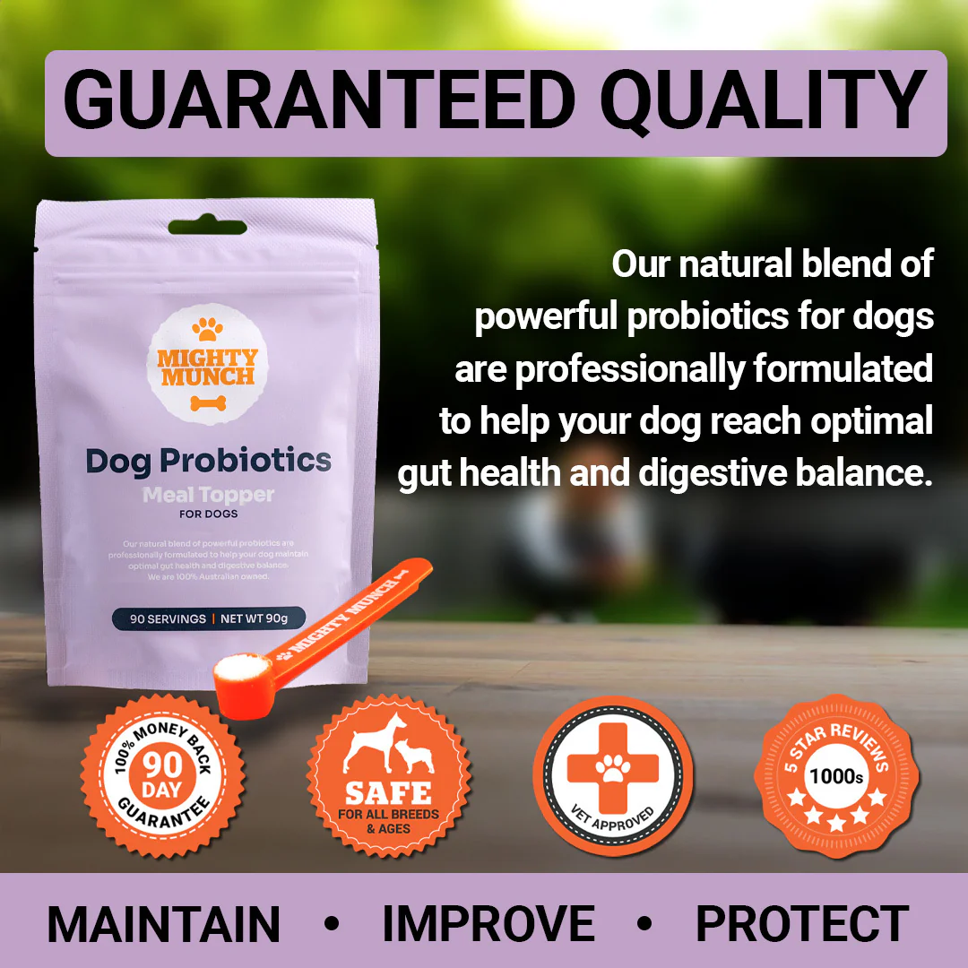 Dog Probiotics (Canada) - Image 9