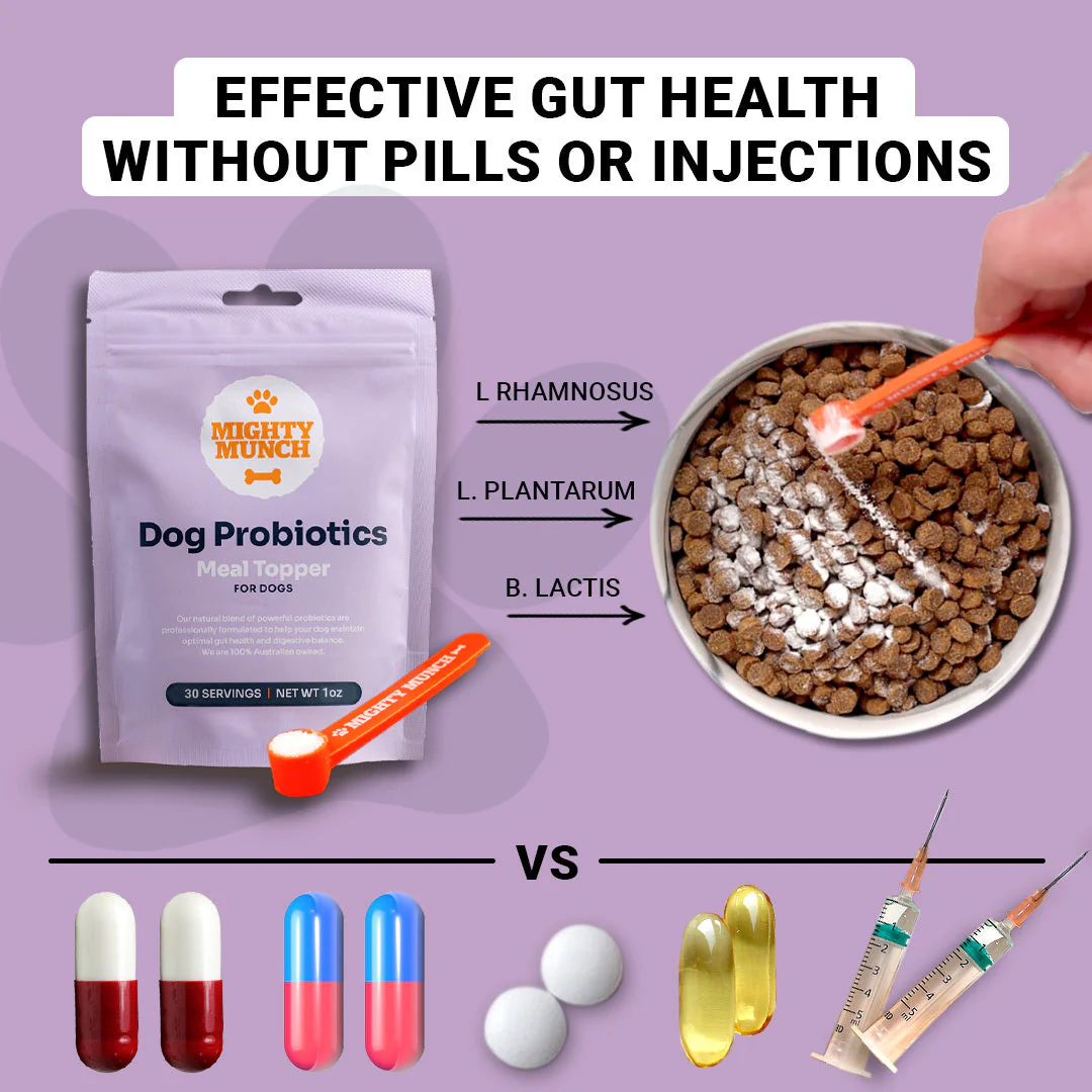 Dog Probiotics Deal (US) - Image 11
