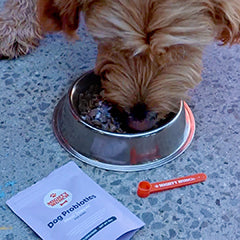 Dog Probiotics Deal (US) - Image 12