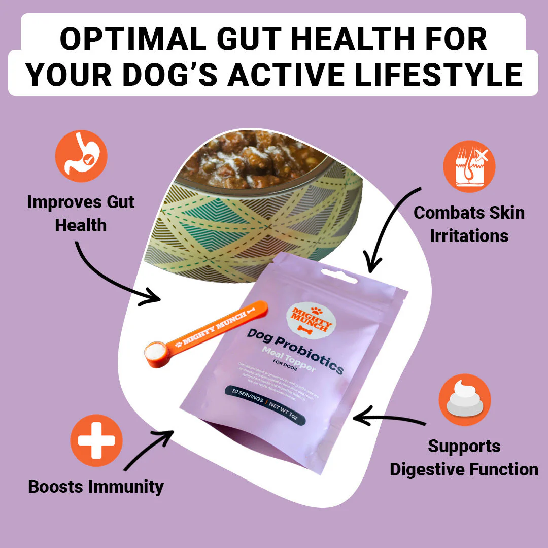 Dog Probiotics Deal (US) - Image 8