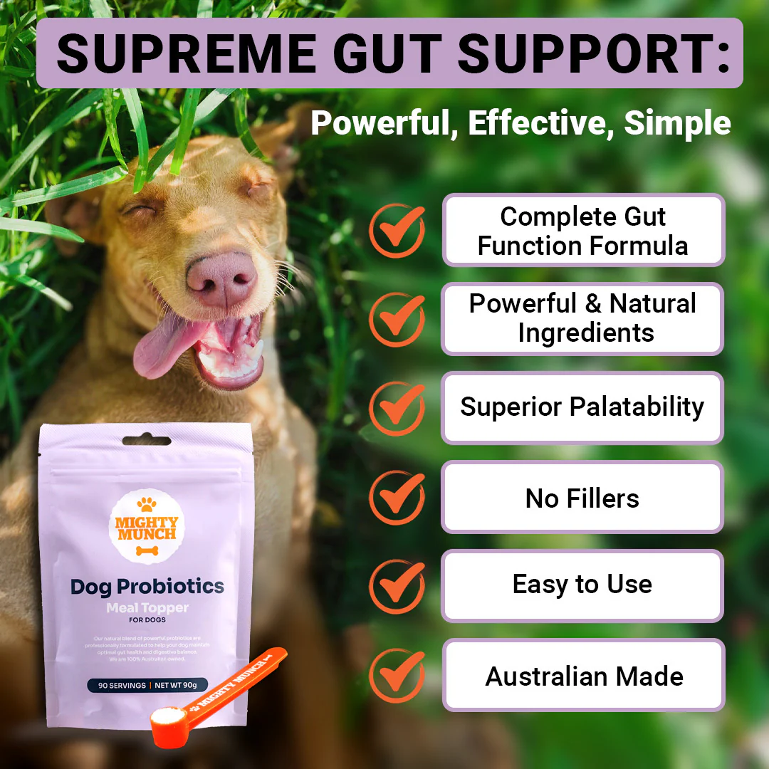 Dog Probiotics (NZ) - Image 4