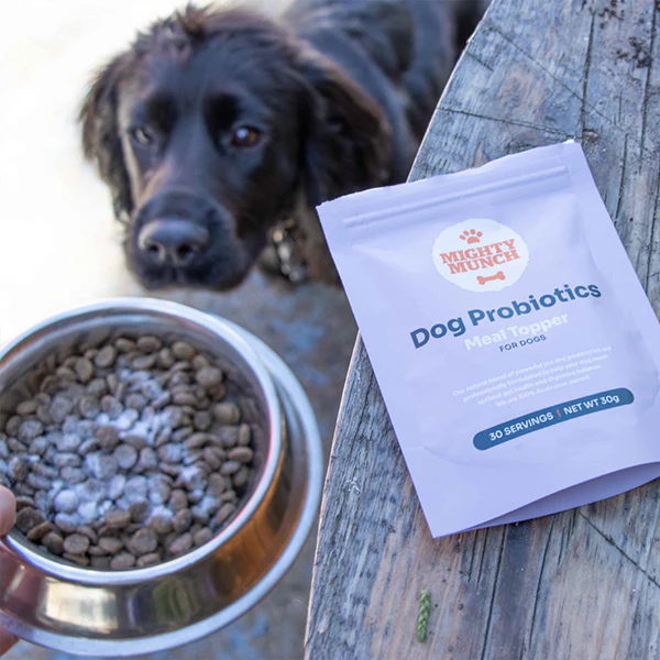 Dog Probiotics (NZ) - Image 7