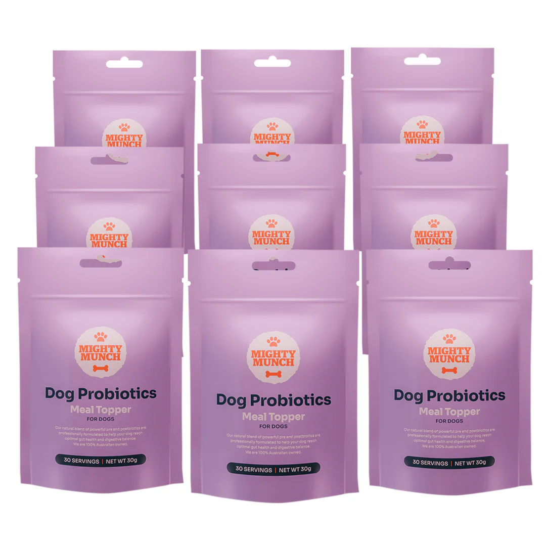 Dog Probiotics (Promo) Canada - Image 6