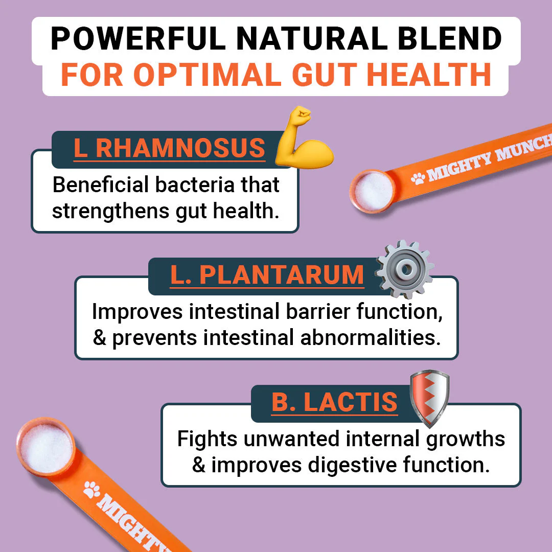 Dog Probiotics Promo (US) - Image 2
