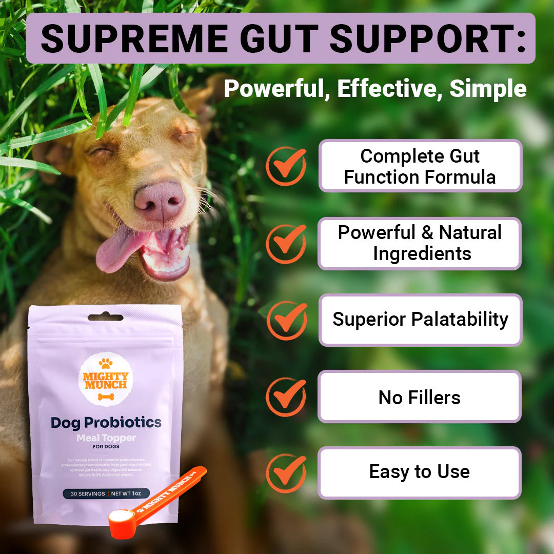 Dog Probiotics Promo (US) - Image 9