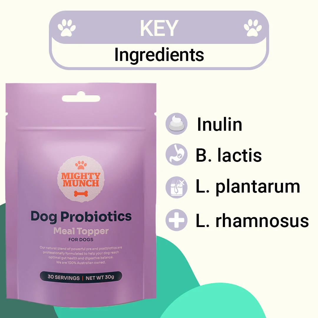 Dog Probiotics (Sale) (US) - Image 2