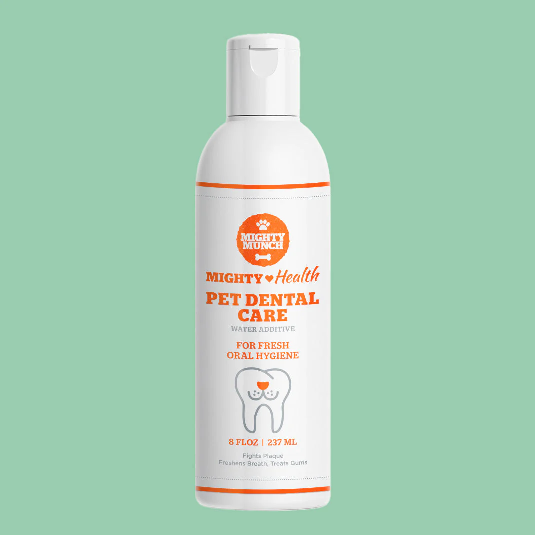 Special: Dental Care (US)